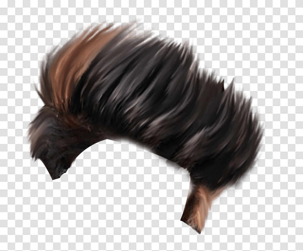 Download Hair Style Photo Cb Background Full Hd, Chicken, Bird, Animal, Mammal Transparent Png