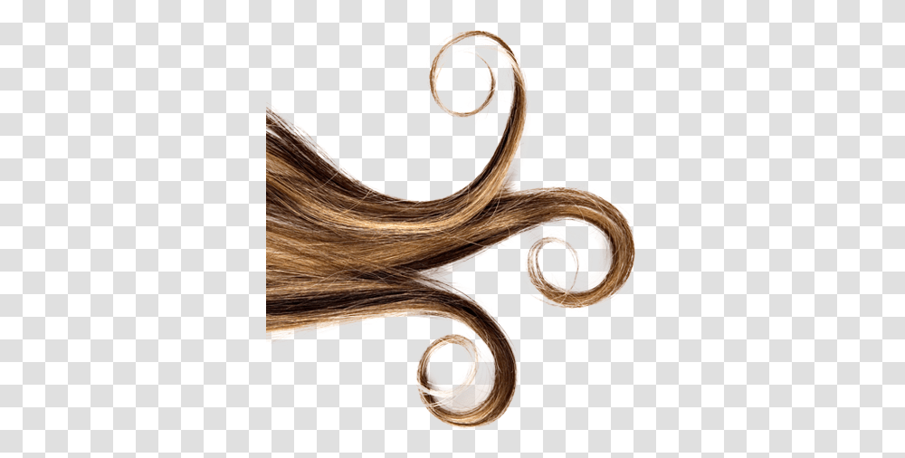 Download Hair Texture Atlantis Long Hair, Wood, Animal Transparent Png