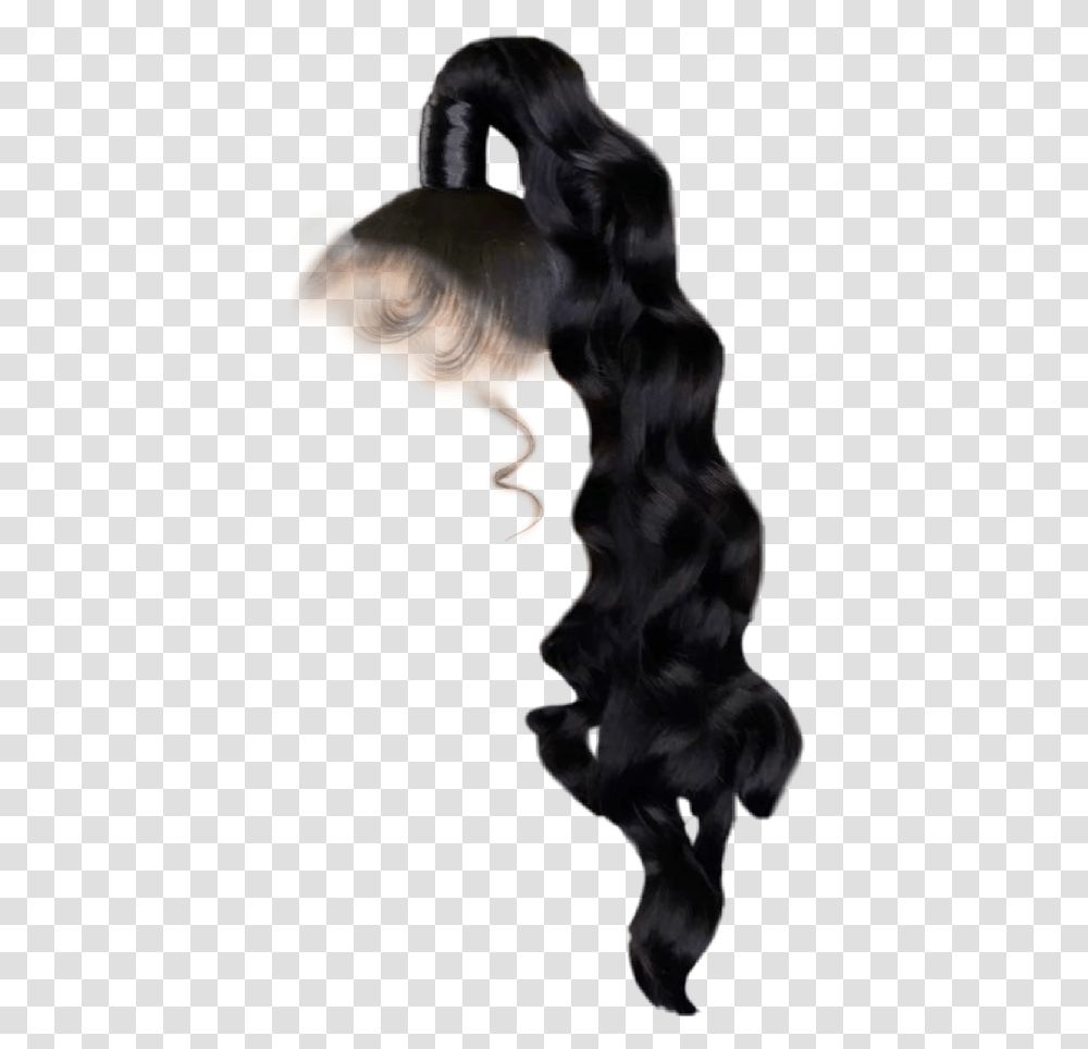 Download Hair Wig Wigs Freetoedit Black Wigs Wig, Outdoors, Nature, Animal, Person Transparent Png