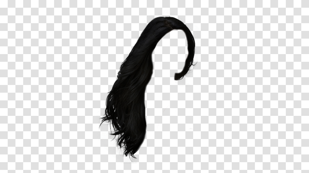 Download Hairstyles Free Image And Clipart, Person, Human, Animal, Black Hair Transparent Png