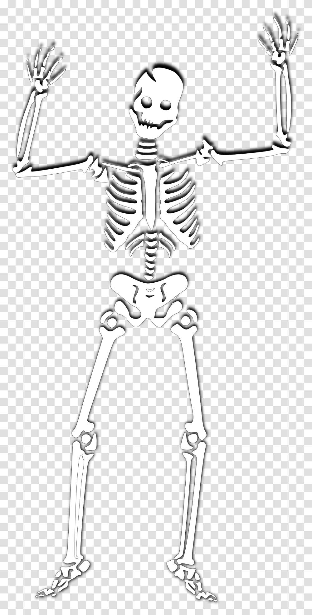 Download Halloween Skeleton Photos Skeleton Cartoon Background, Bow Transparent Png