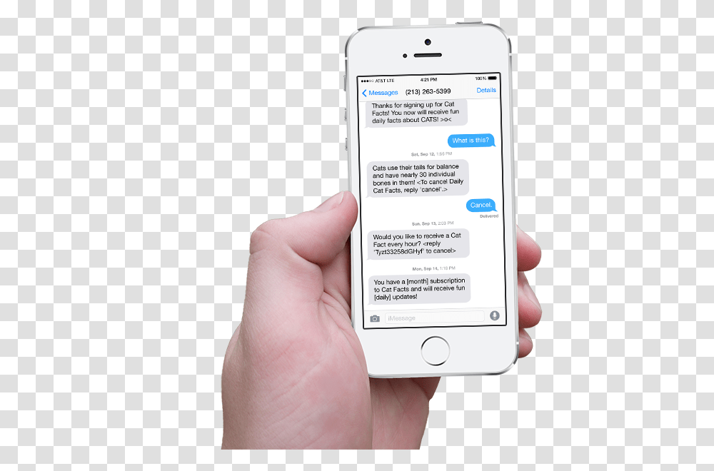Download Hand Holding Iphone With Scrolling Cat Facts Text Text Facts, Person, Human, Mobile Phone, Electronics Transparent Png