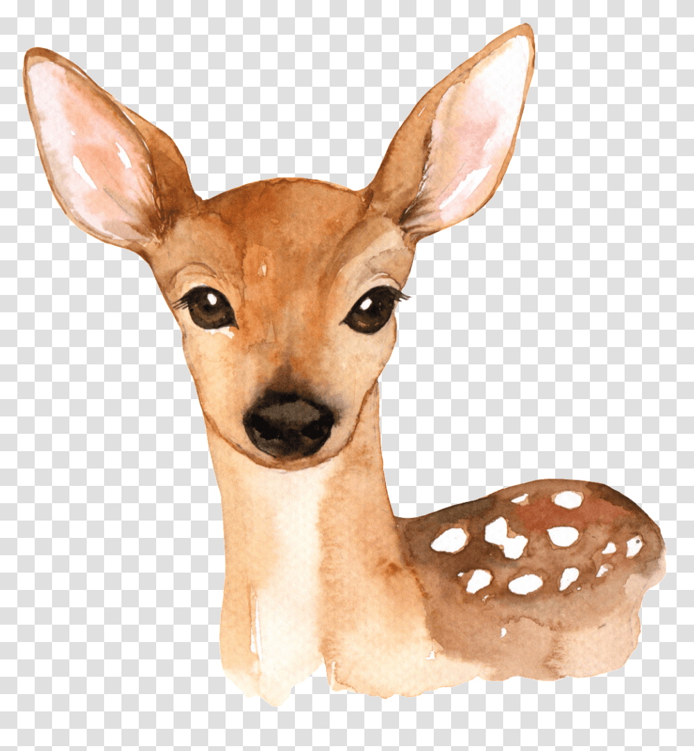 Download Hand Painted A Cute Deer Deer With Flower Crown, Wildlife, Animal, Mammal, Antelope Transparent Png