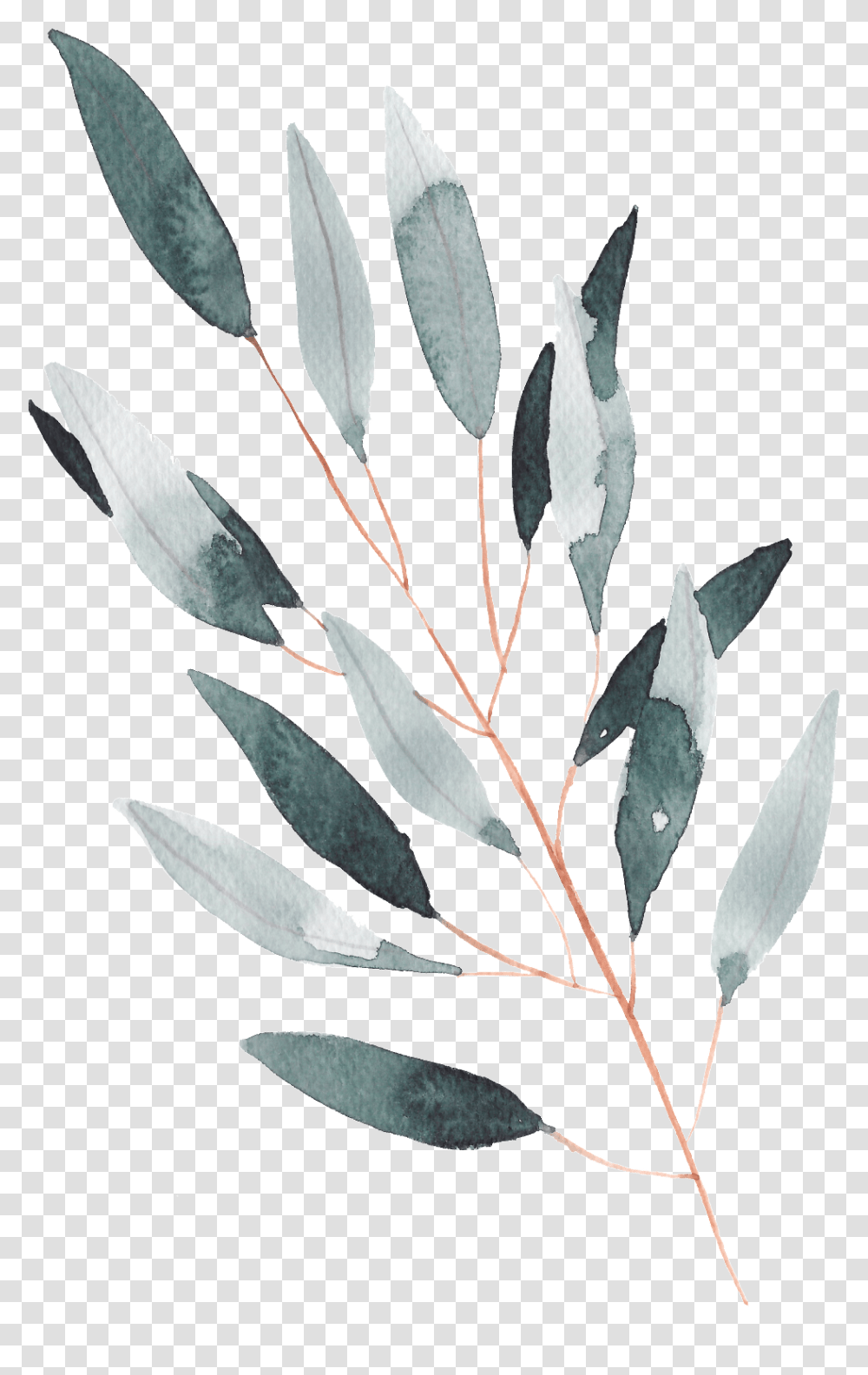 Download Hand Painted A Leaf Watercolor Watercolor Leaves, Plant, Flower, Blossom, White Transparent Png