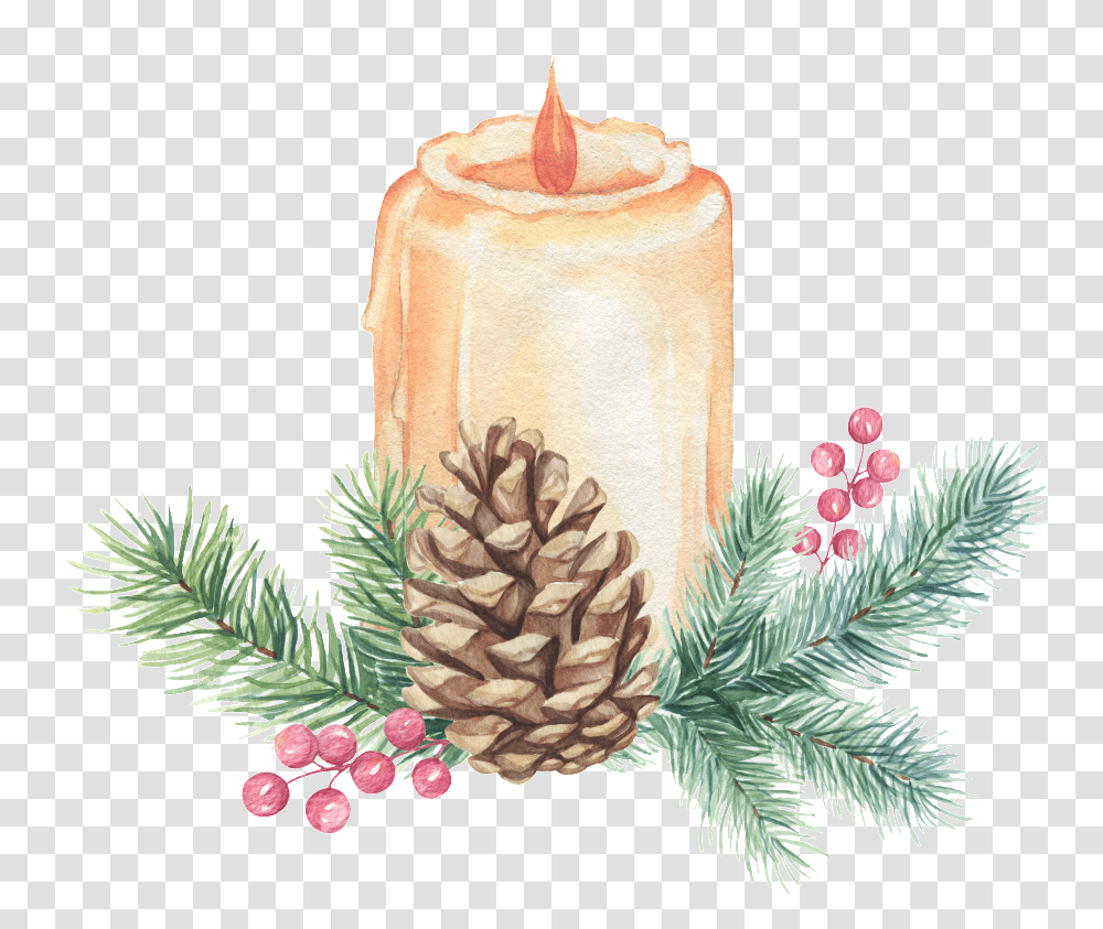 Download Hand Painted Christmas Candle Candle, Plant, Tree, Architecture, Building Transparent Png