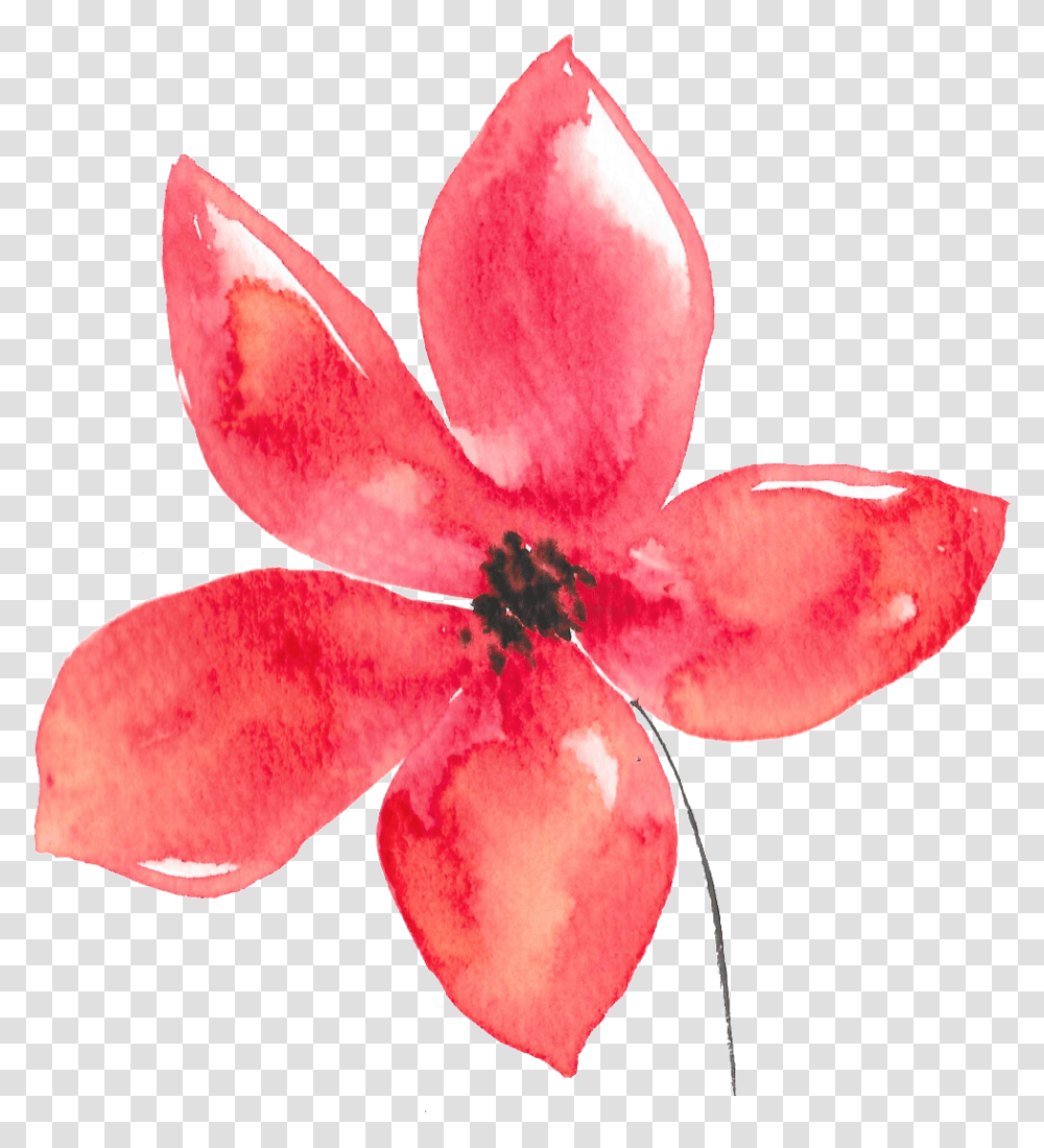 Download Hand Painted Five Petals Red Flower Watercolor Flores En Acuarela, Plant, Blossom, Geranium, Bird Transparent Png