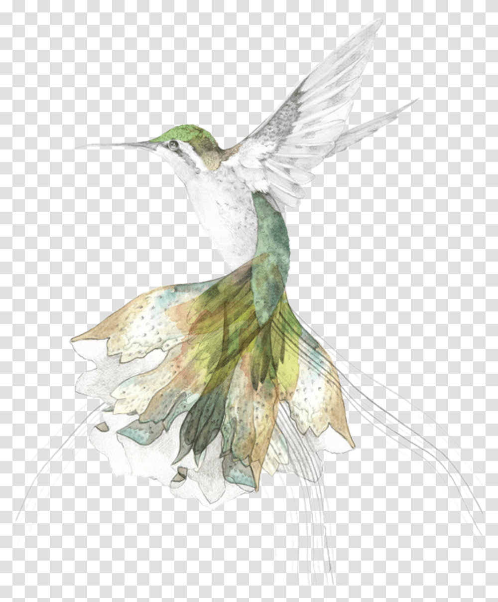 Download Hand Painted Hummingbird Beth Emily Gregory Art, Animal Transparent Png