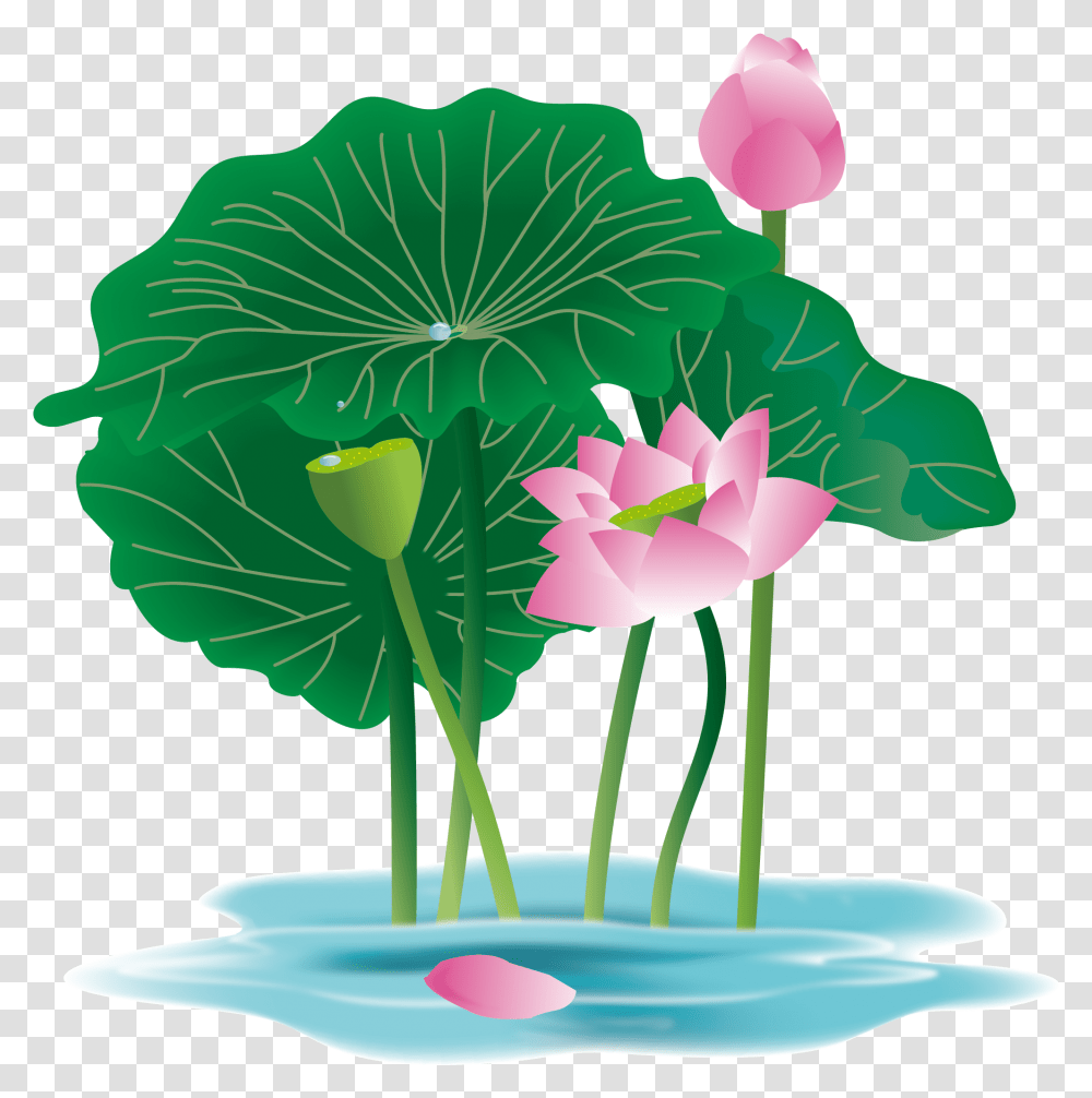 Download Hand Painted Plant Flower Water Lily And Vector Plants, Blossom, Petal, Leaf, Pond Lily Transparent Png
