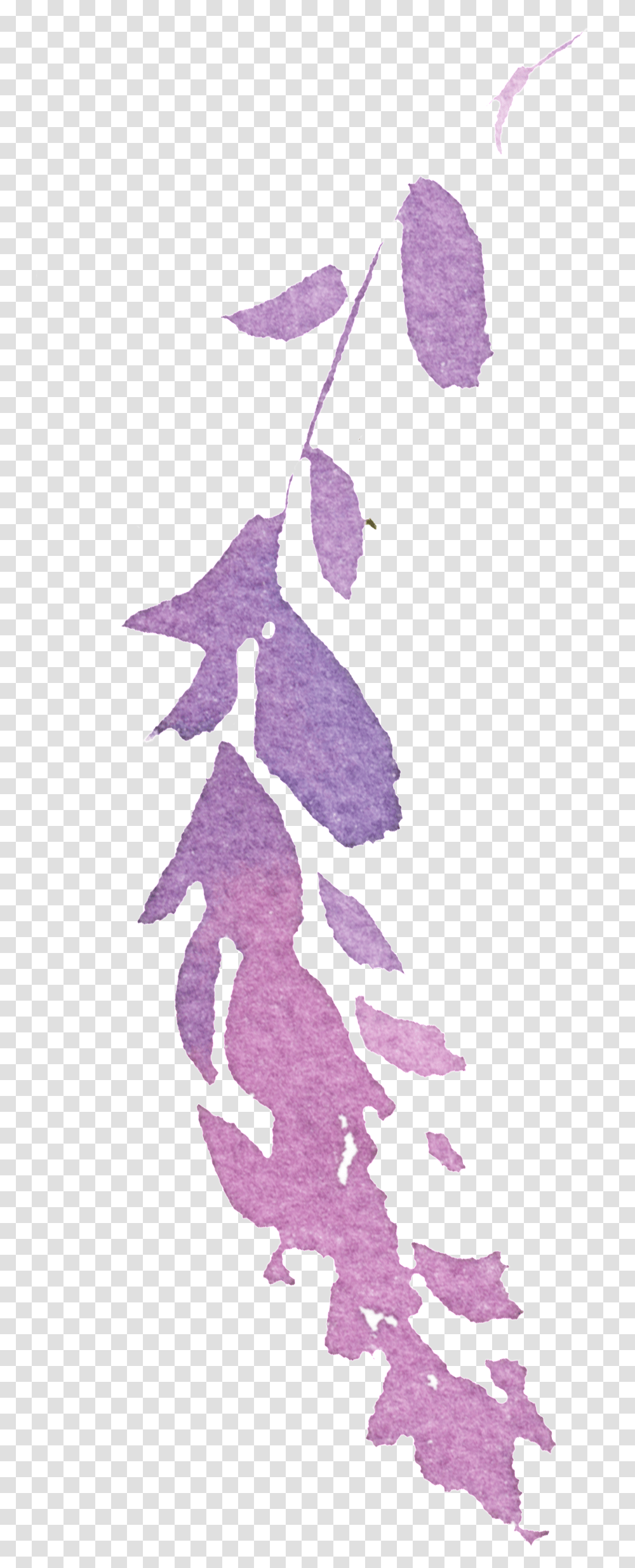Download Hand Painted Purple Watercolor Leaves, Plant, Flower, Blossom, Art Transparent Png
