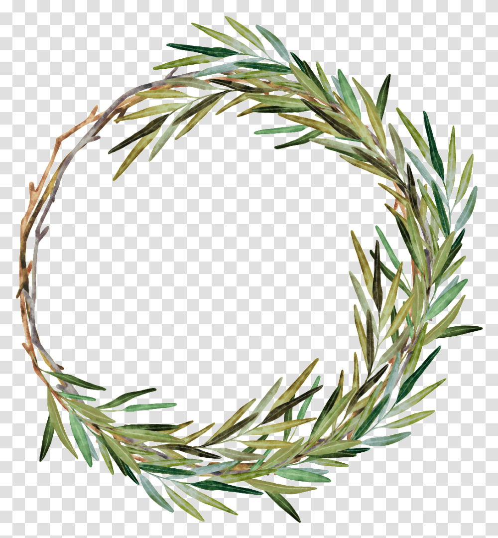 Download Hand Painted Weed Grass Ring Watercolor Painting, Tree, Plant, Conifer, Fir Transparent Png