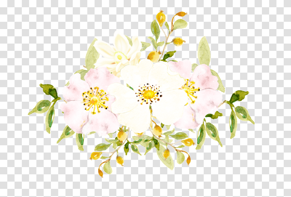 Download Hand Painted White Flowers Burnet Rose, Plant, Petal, Floral Design, Pattern Transparent Png