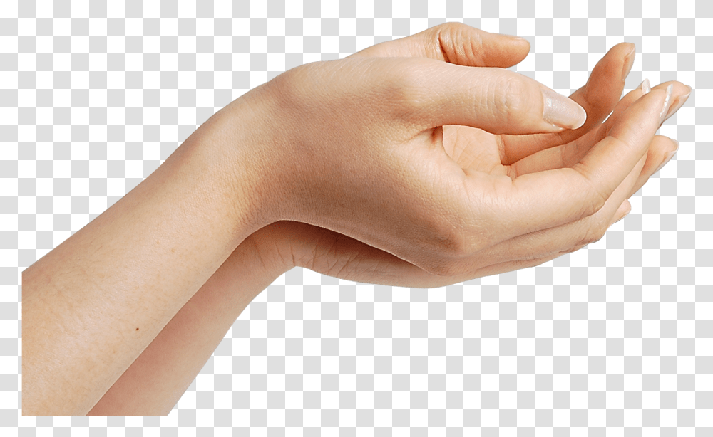 Download Hands Hand, Person, Human, Wrist, Finger Transparent Png