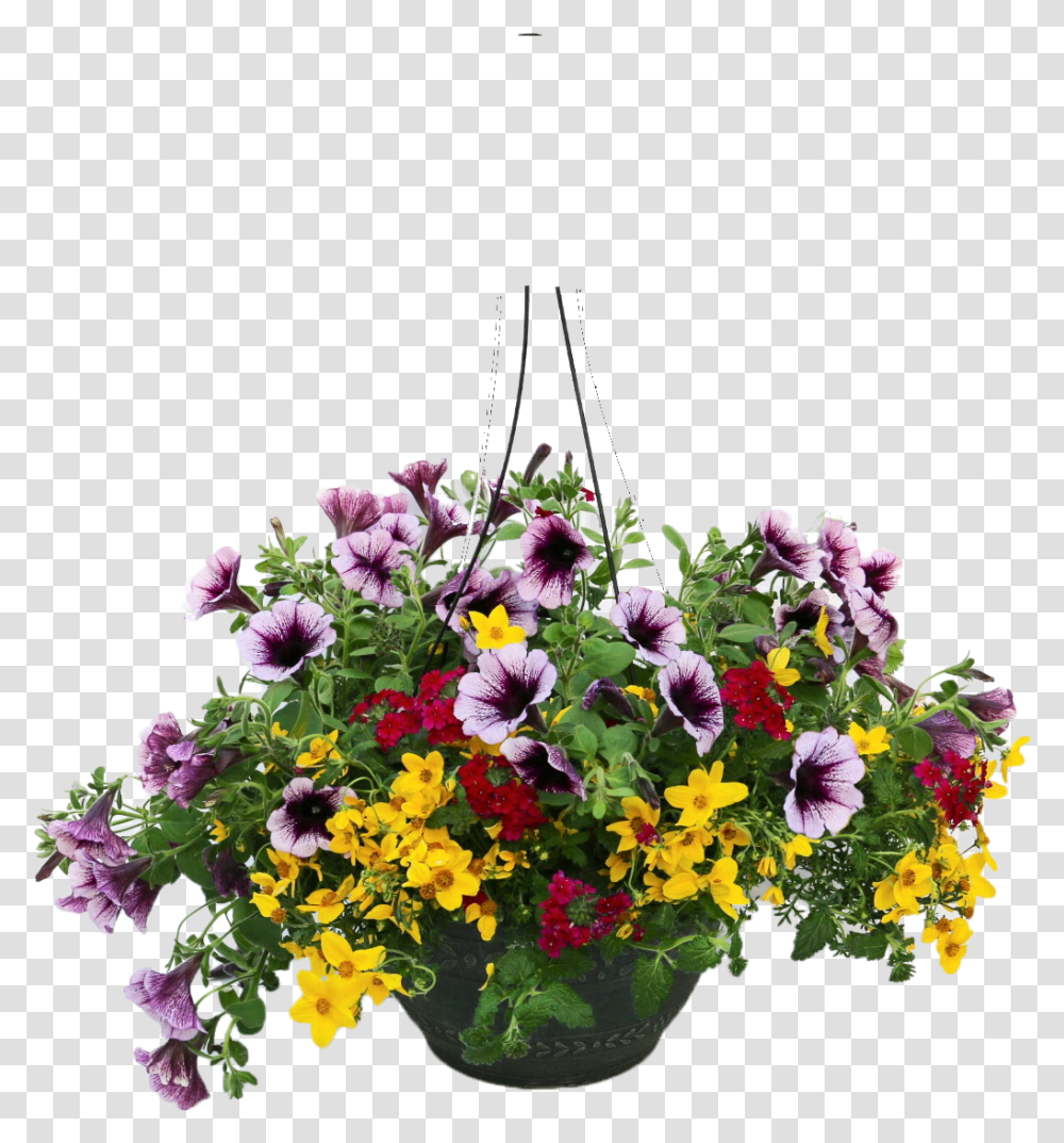 Download Hanging Plants Hanging Flower Pot Full Hanging Flower Basket Vector, Blossom, Flower Arrangement, Ikebana, Art Transparent Png