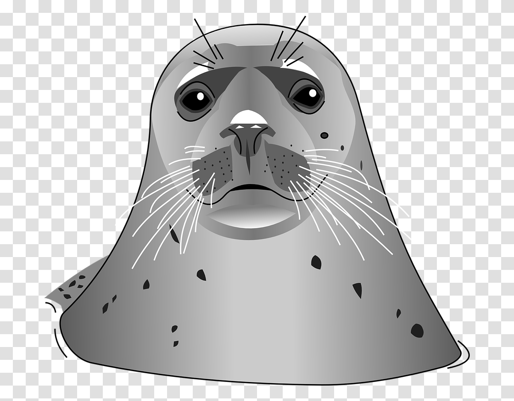 Download Harbor Seal Images Harbor Seal Clip Art, Mammal, Sea Life, Animal, Sea Lion Transparent Png
