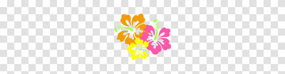 Download Hawaii Category Clipart And Icons Freepngclipart, Plant, Hibiscus, Flower, Blossom Transparent Png