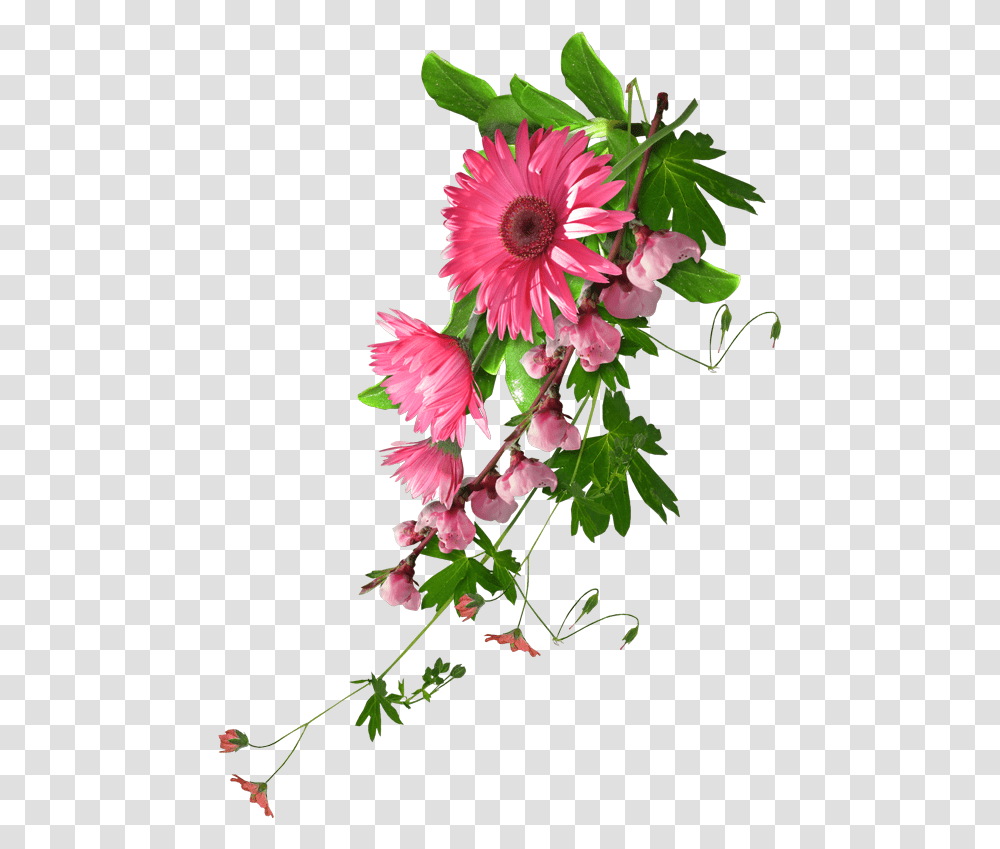 Download Hd 0 8e946 Df2613b Orig Real Flower Clip Art Background Real Flower, Plant, Flower Arrangement, Flower Bouquet, Daisy Transparent Png