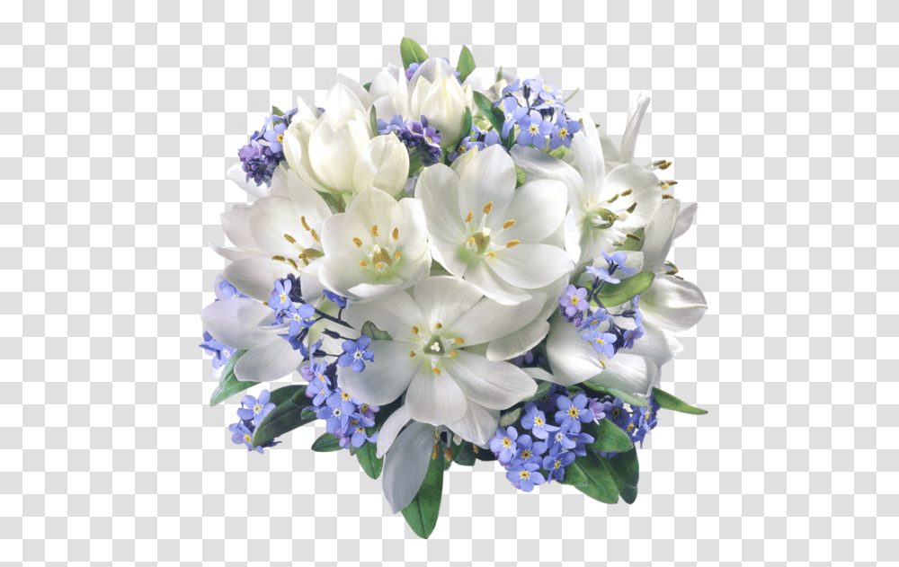 Download Hd 0 White And Blue Flowers Flower Composition, Plant, Blossom, Flower Bouquet, Flower Arrangement Transparent Png