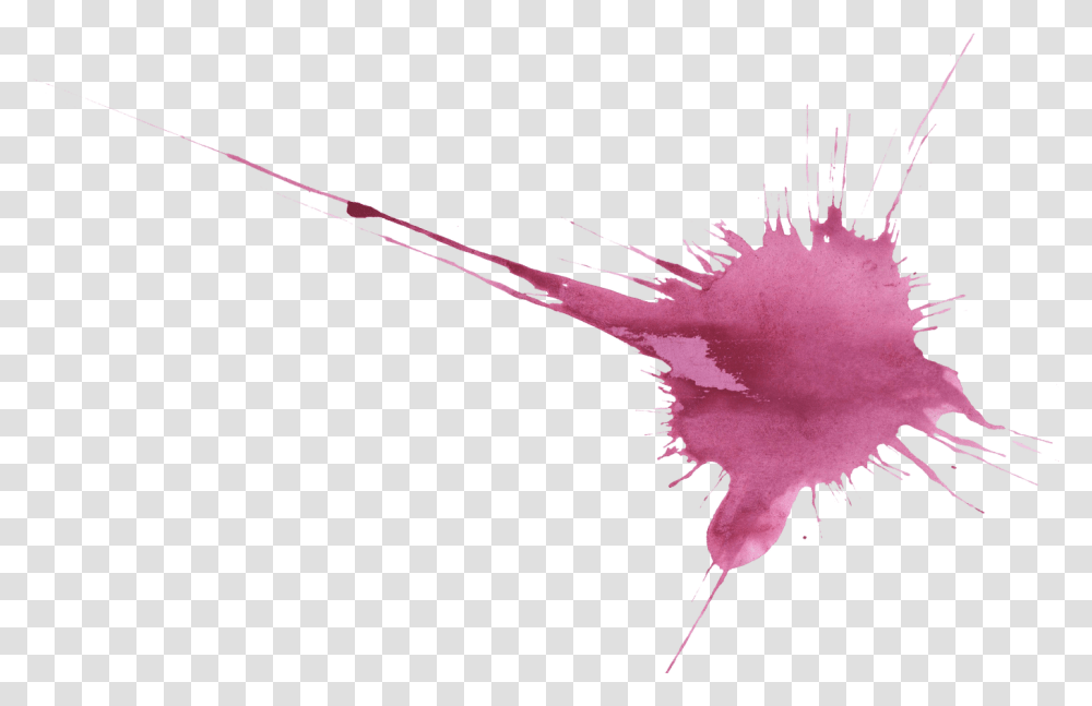 Download Hd 20 Purple Watercolor Splatter Onlygfxcom Watre Colour Texture, Leaf, Plant, Animal Transparent Png