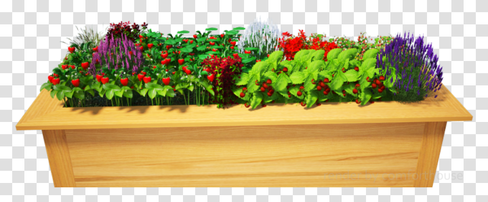 Download Hd 3d Decorative Flower Bed Flower Bed, Plant, Geranium, Vegetation, Leaf Transparent Png