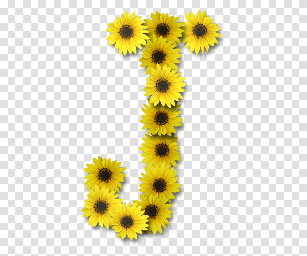 Download Hd Alfabeto Sunflowers Image Sunflower Letter J, Plant, Blossom, Rug, Interior Design Transparent Png