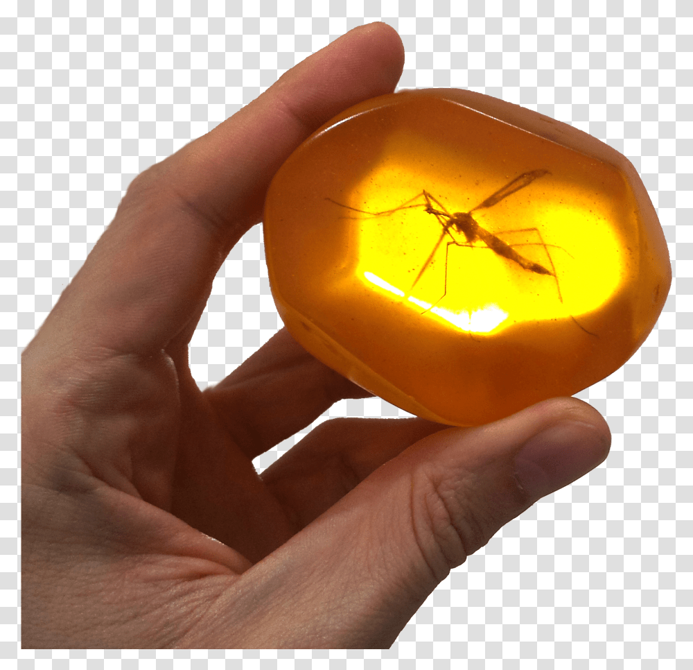 Download Hd Ambar 3m Mosquito Amber, Person, Human, Finger, Hand Transparent Png