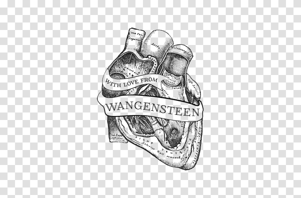 Download Hd Anatomical Heart Tattoo Antique Medical Antique Medical Illustration, Doodle, Drawing, Sketch, Text Transparent Png