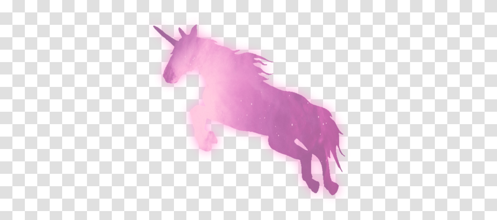 Download Hd And Unicorn Image Unicorn Licorne Roblox Adopt Me, Mammal, Animal, Nature, Outdoors Transparent Png