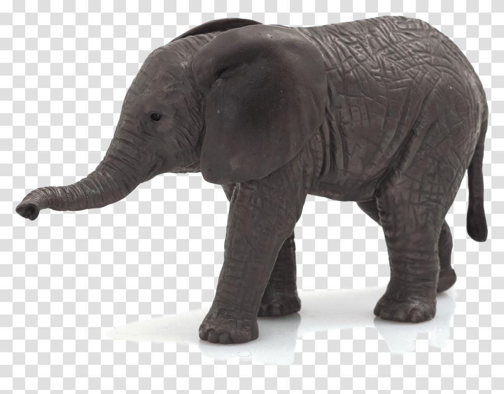 Download Hd Animal Planet African Elephant Calf Elephant Calf White Background, Wildlife, Mammal Transparent Png