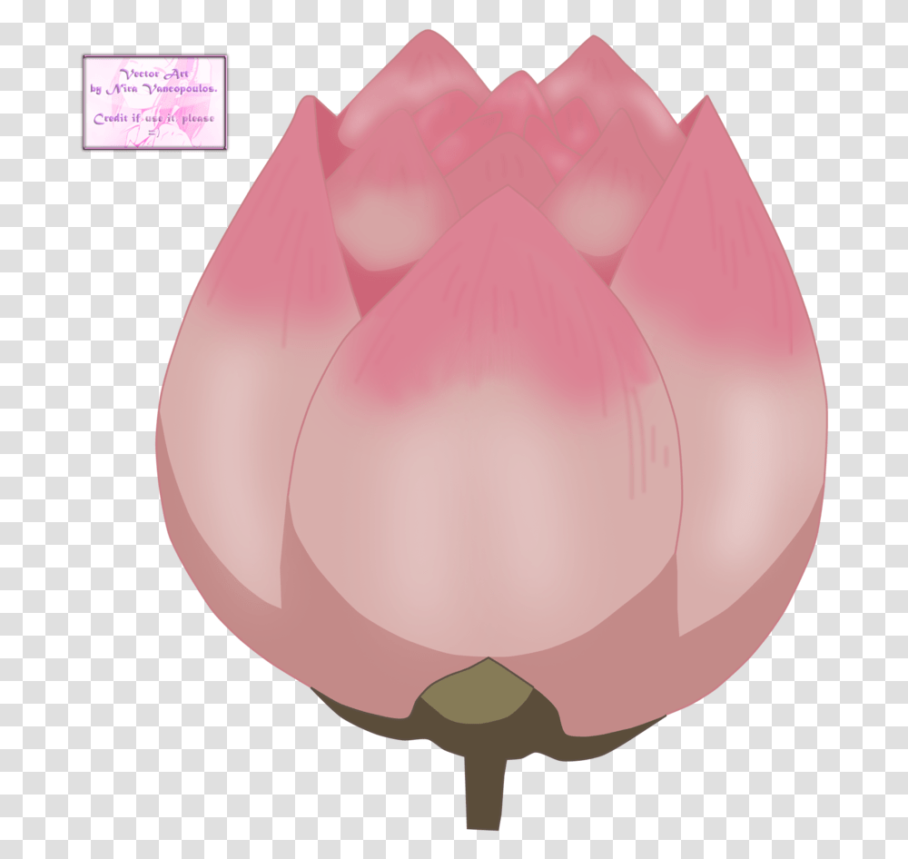 Download Hd Anime Flower Anime Lotus Flower Portable Network Graphics, Petal, Plant, Blossom, Balloon Transparent Png
