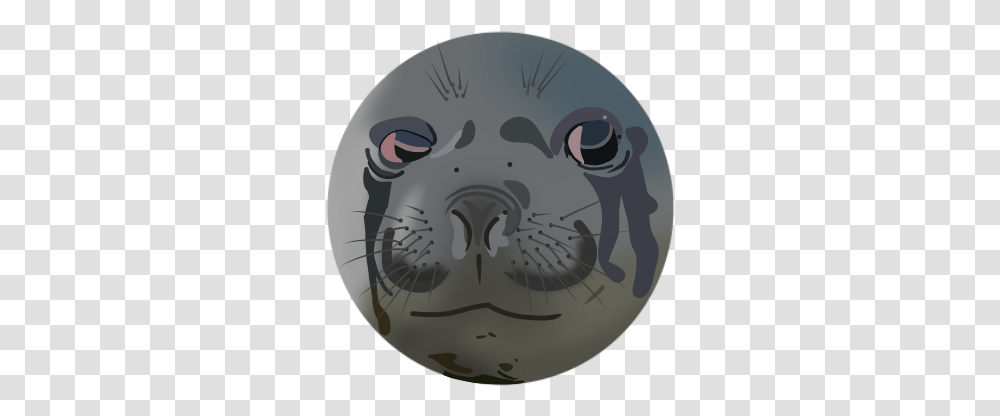 Download Hd Another Crying Seal Meme Redrawn I Like Doing Cartoon, Mammal, Sea Life, Animal, Sea Lion Transparent Png