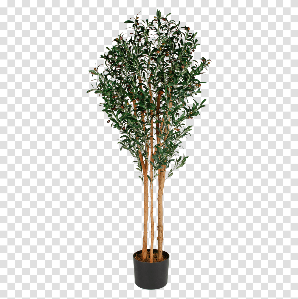 Download Hd Artificial Olive Tree Tree In Planter Artificial Tree, Vegetation, Bush, Outdoors, Pineapple Transparent Png