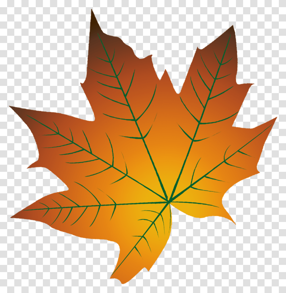 Download Hd Autumn Leaf Color Cartoon Autumn Leaf Cartoon, Plant, Tree, Maple Leaf Transparent Png