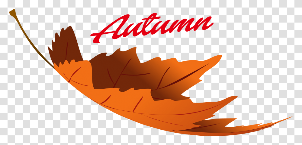 Download Hd Autumn Leaves Image Autumn Leaves Clipart, Leaf, Plant, Maple Leaf, Tree Transparent Png