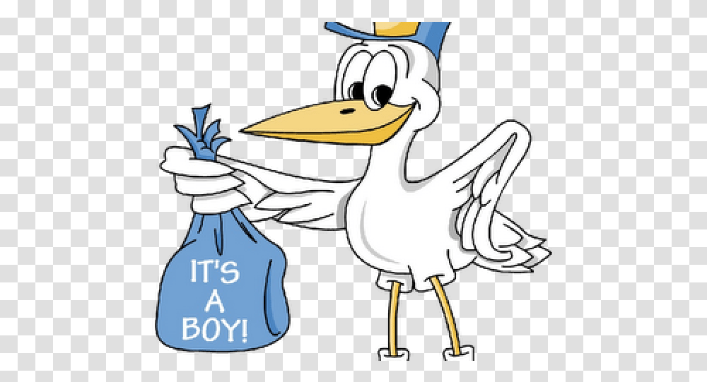 Download Hd Baby Boy Cartoon Images A Boy Bird, Animal, Beak, Pelican, Dodo Transparent Png