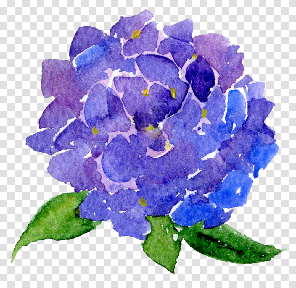 Download Hd Background Watercolor Flowers Clip Background Flowers Watercolor, Geranium, Plant, Blossom, Iris Transparent Png
