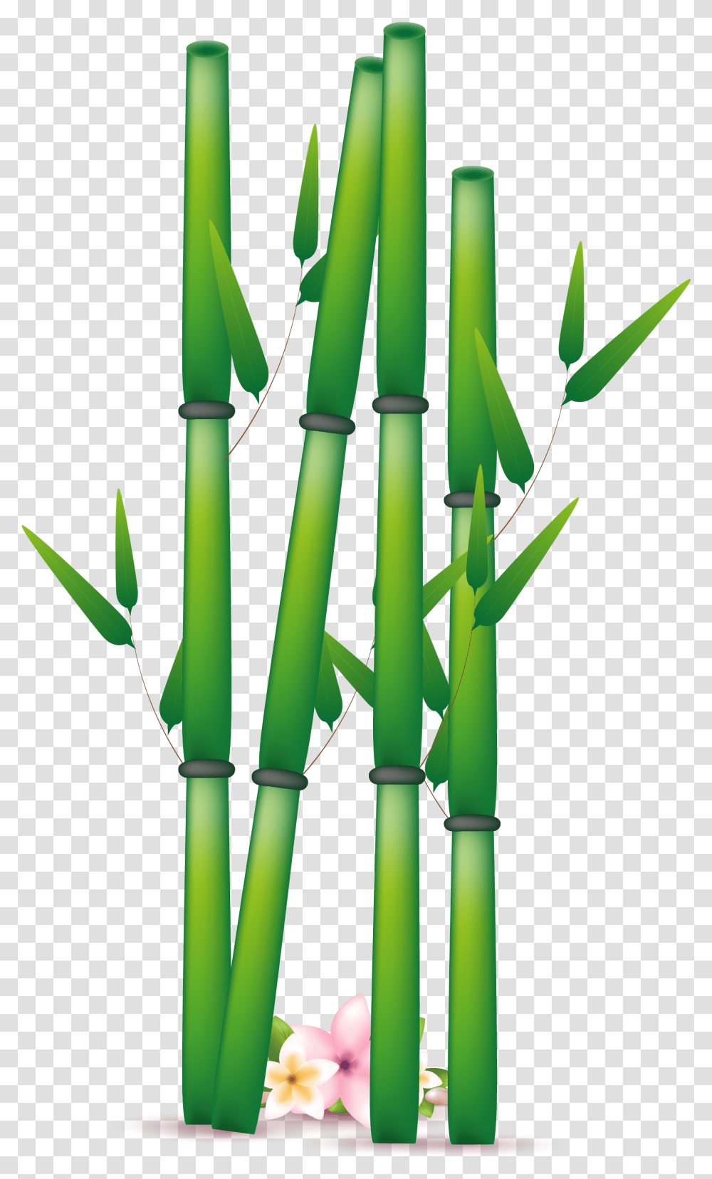 Download Hd Bamboo Free Bambu Vector, Plant Transparent Png