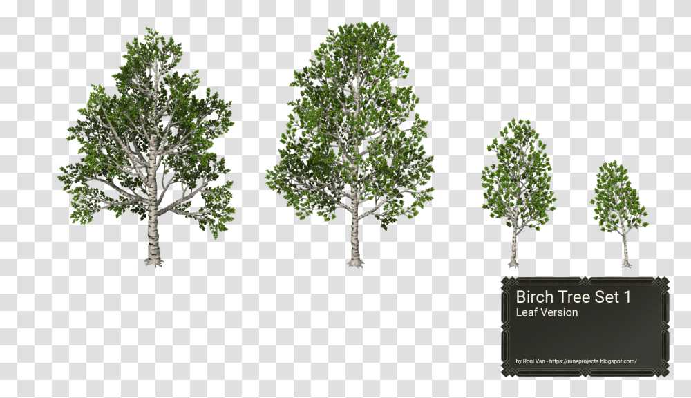 Download Hd Birch Trees White Birch Rpg Maker, Plant, Conifer, Outdoors, Potted Plant Transparent Png