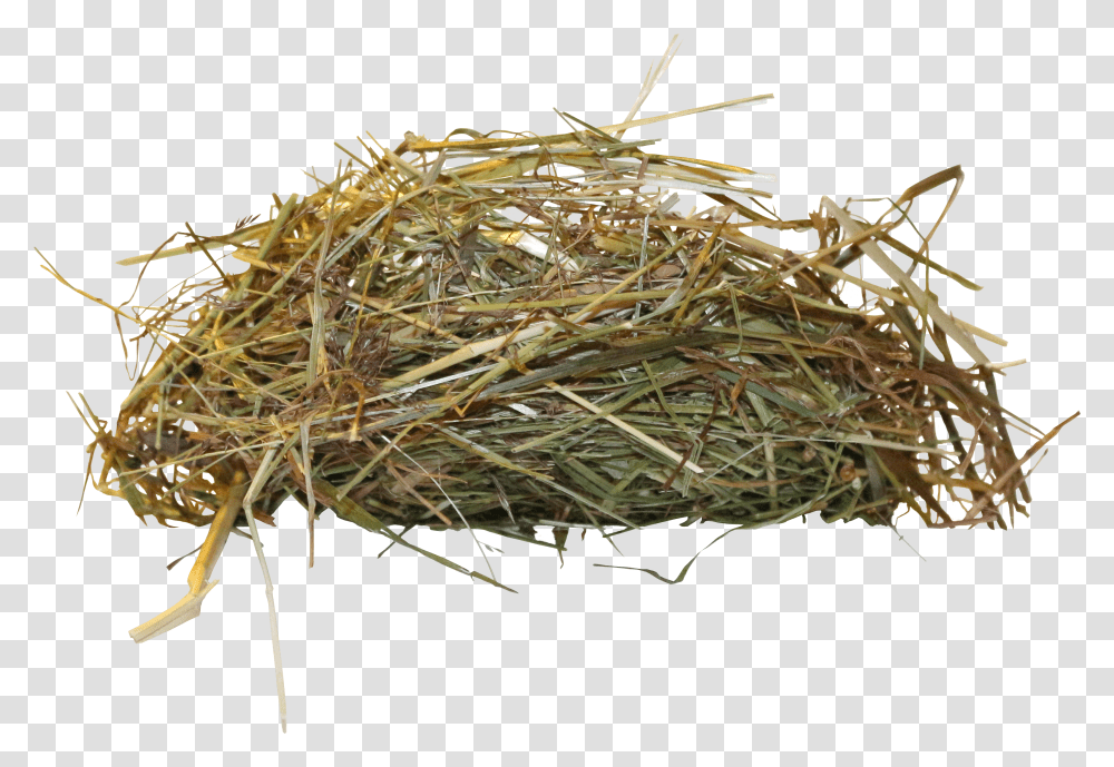 Download Hd Bird Nest Birds Nest Free Transparent Png