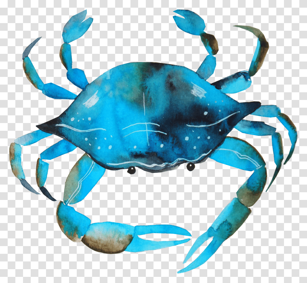 Download Hd Blue Crab Watercolor Crab Painting Of Cancer Crab Transparent Png