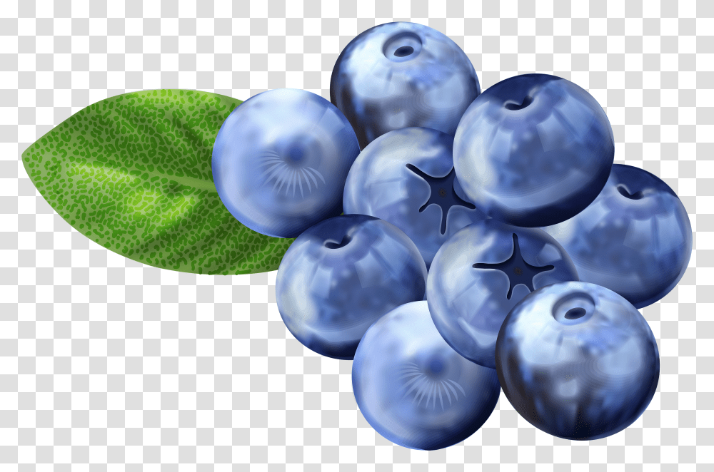 Download Hd Blueberry Clipart Background Blueberry Clipart Transparent Png