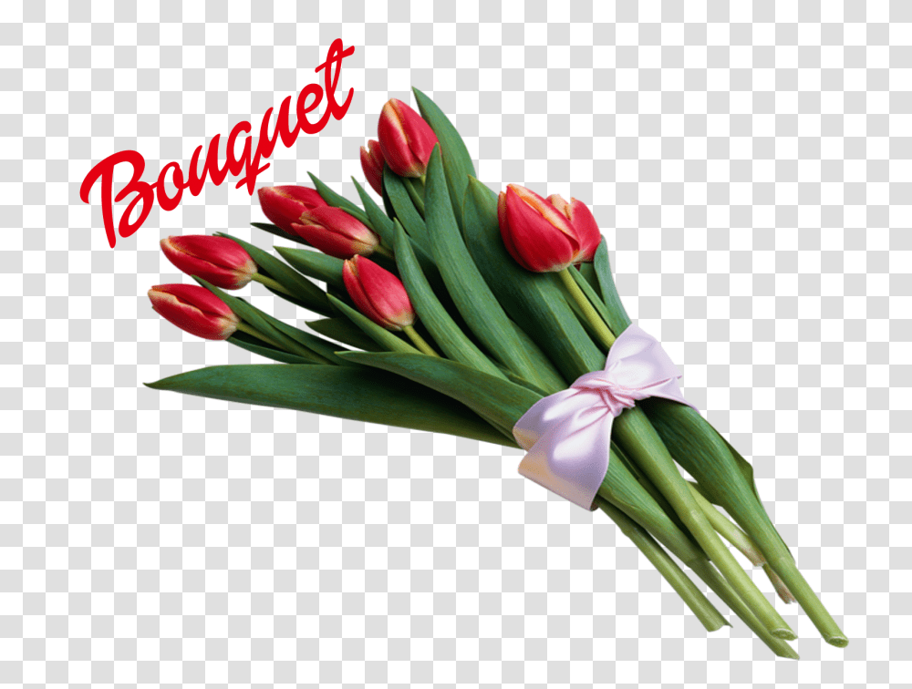Download Hd Bouquet Of Flowers Image Bouquet Of Happy Day Sister, Plant, Blossom, Flower Bouquet, Flower Arrangement Transparent Png