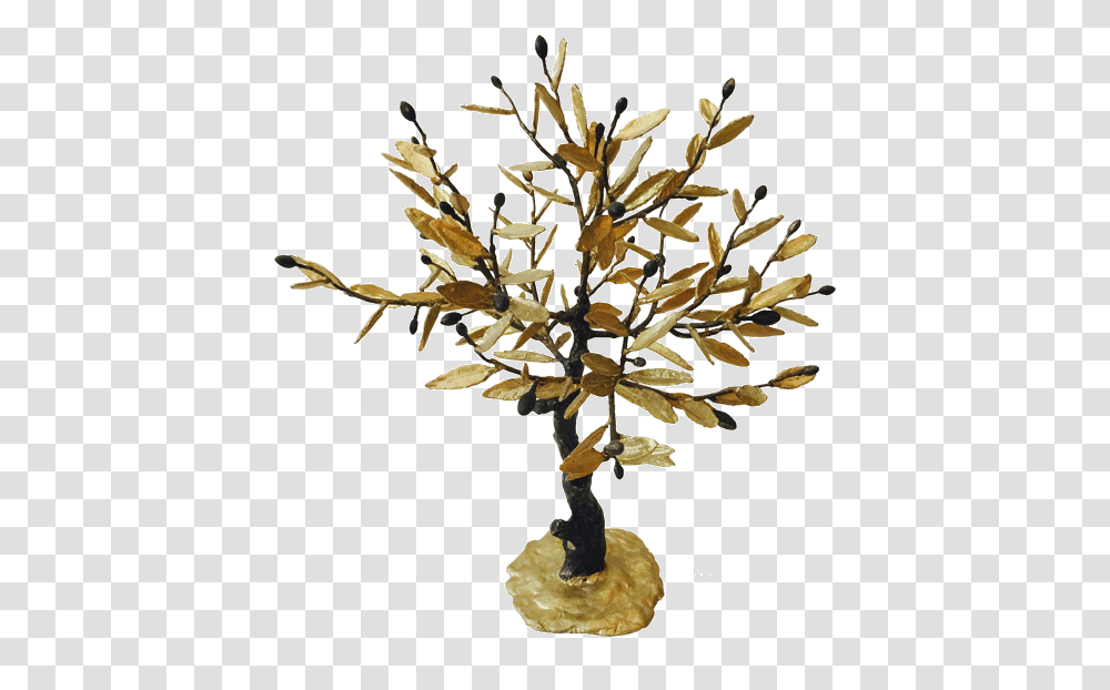 Download Hd Bronze Olive Tree Bonsai Image Houseplant, Potted Plant, Vase, Jar, Pottery Transparent Png