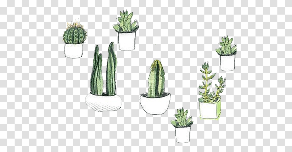 Download Hd Cactaceae Watercolor Painting Succulent Plant Stickers De Plantas, Cactus, Potted Plant, Vase, Jar Transparent Png