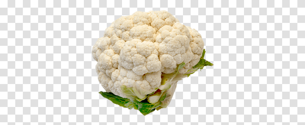 Download Hd Cauliflower Image Cauliflower, Plant, Vegetable, Food, Fungus Transparent Png