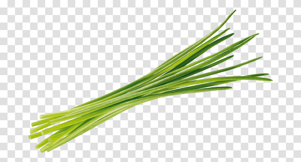 Download Hd Chives Tomato Background Erba Chives, Plant, Food, Produce, Vegetable Transparent Png