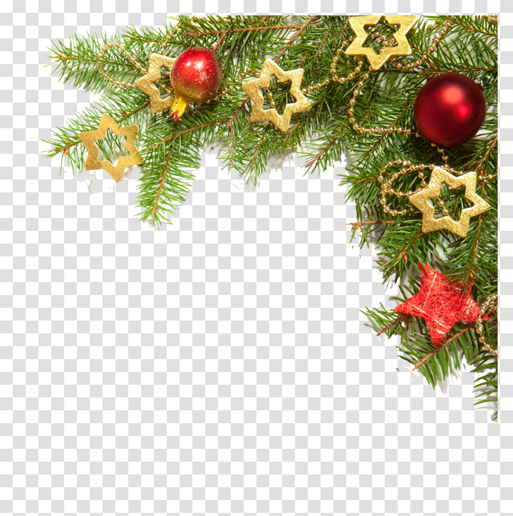 Download Hd Christmas Border Images Holiday Border No Background, Tree, Plant, Ornament, Conifer Transparent Png