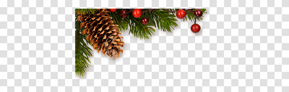 Download Hd Christmas Decor Christmas Decor Hd, Tree, Plant, Conifer, Larch Transparent Png