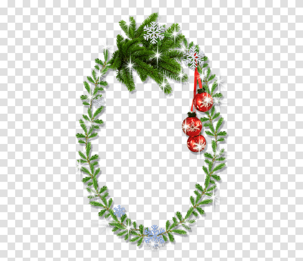Download Hd Christmas Holly Borders And Frames Oval Christmas Frame, Tree, Plant, Ornament, Flower Transparent Png