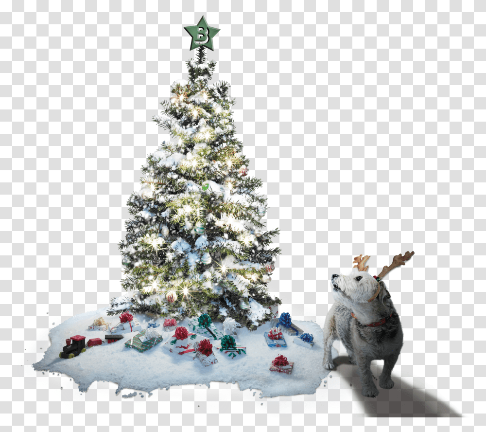 Download Hd Christmas Tree And Max The Christmas In Mars, Plant, Ornament, Dish, Meal Transparent Png