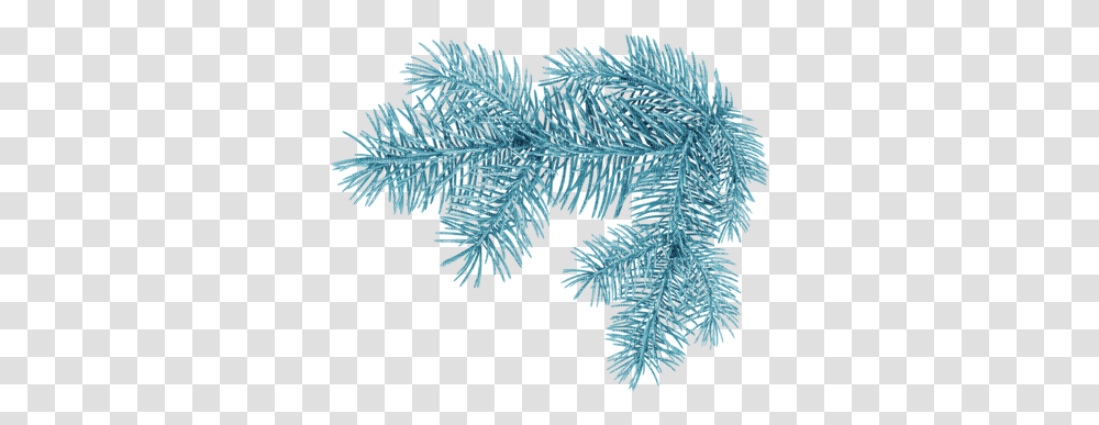 Download Hd Christmas Tree Branch Christmas Tree Branch Winter, Ice, Outdoors, Nature, Frost Transparent Png